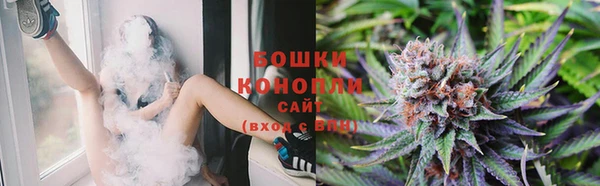 индика Пролетарск