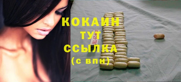 спайс Покачи