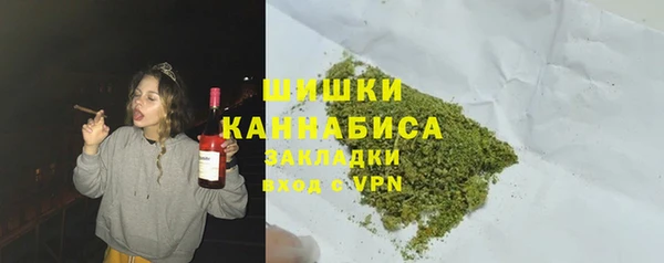 крисы Кизел