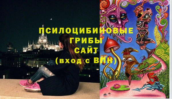 спайс Покачи