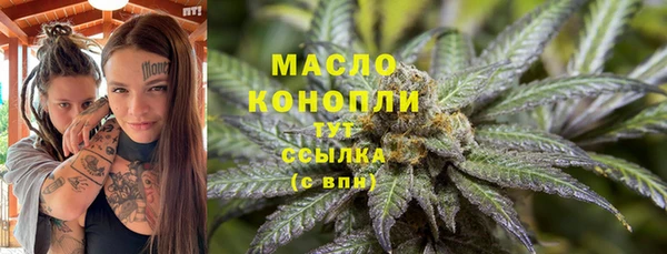 индика Пролетарск