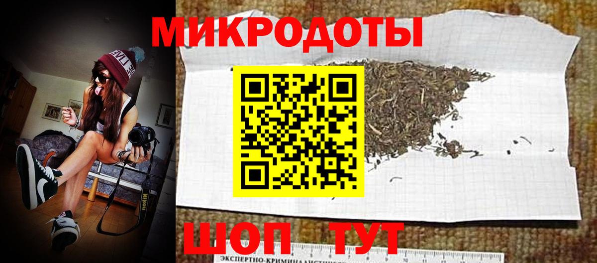 Тара  Галлюциногенные грибы MAGIC MUSHROOMS  Вход с VPN 