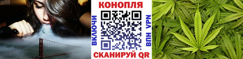 где продают наркотики Тара Бошки марихуана ГИДРОПОН